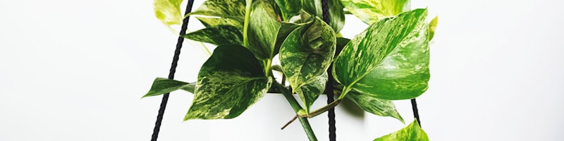 英超联赛Premier League足球比赛现场直播